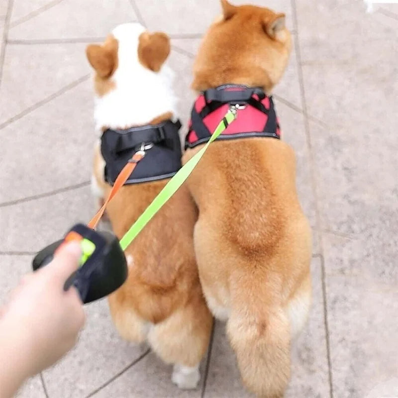 One-to-two dog leash for medium and small dogs, automatically retractable dog leash.