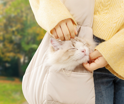 Pet bag autumn and winter cat bag warm portable dog bag large capacity go out shoulder crossbody bag