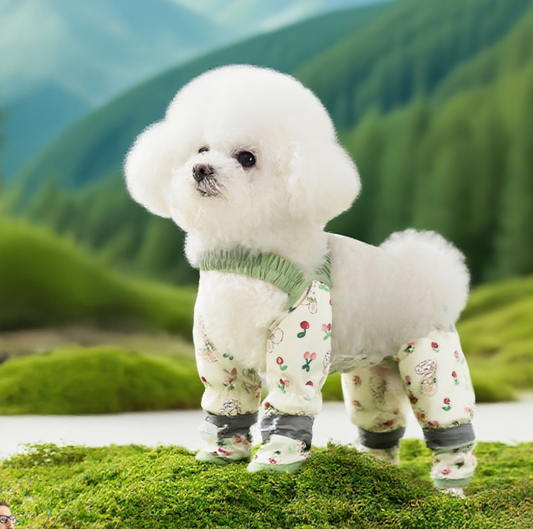 Detachable dust-proof pants with waterproof feet for dog pets💕